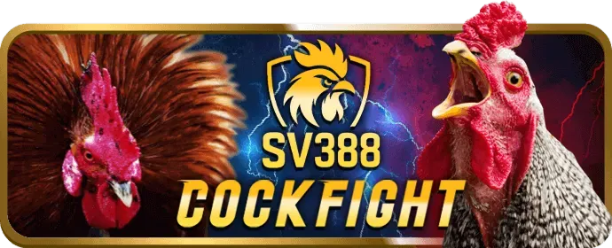 Hướng dẫn đặt cược thể thao tại vb9 cho người mới
